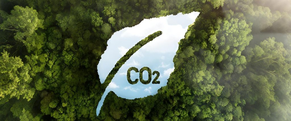 Packaging made from eco-friendly materials